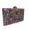 Clutch pedrería multicolor